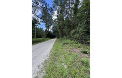 Tbd Salleys Lane, Pineland, SC 29934