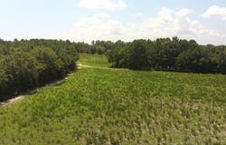 829 0 Whittington Road, Bunnlevel, NC 27244