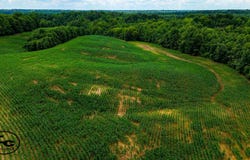 3232 Shawtown Rd, Troy, TN 38260
