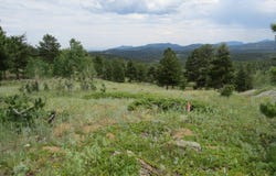 0 Peak to Peak Hwy, Nederland, CO 80466