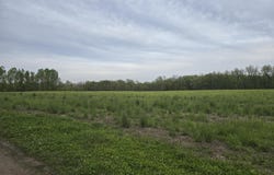 4081 N 350 E, Rolling Prairie, IN 46371