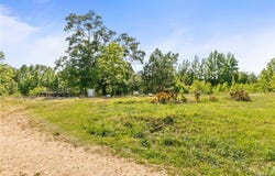 3881 County Highway 47, Winfield, AL 35594