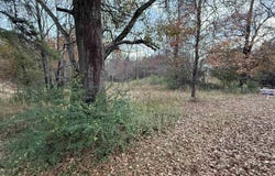 4 SPRING COVE ROAD lot: 4, WARRIOR, AL 35180