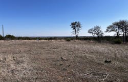 TBD PR 3032, Hamilton, TX 76531