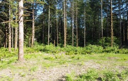 0 Carlon Loop RD, Longview, WA 98632