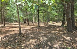 1 VZ County Road 4700, Ben Wheeler, TX 75754