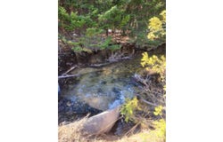 46.6 Acres +/- Vacant Land US-131, Boyne Falls, MI 49713
