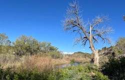 Hwy 12, Segundo, CO 81082