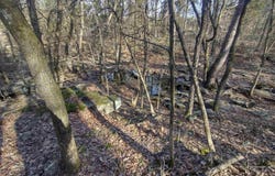 Tract 1 HWY 14 E, Mountain View, AR 72560
