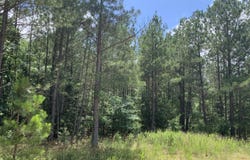 Na Metasville Road, Lincolnton, GA 30817