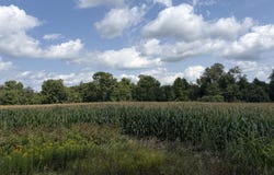 73 45th Avenue, Clayton, WI 54004