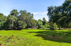3345 Carter Road, Mims, FL 32754