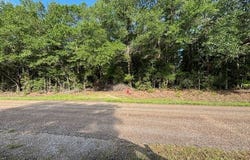 00 Good Hope Rd, Dozier, AL 36028