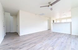3521 Savage Springs DR, Austin, TX 78754