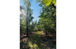 Tbd County Road 2330, Salem, MO 65560