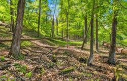21 Shepard Avenue, Delaware Water Gap, PA 18327