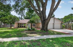 207 PINECREST ROAD, MOUNT DORA, FL 32757