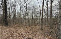 0 Pitcher Road, Morgantown, KY 42261