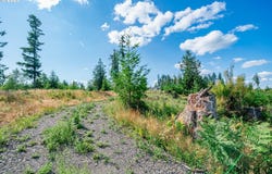 S Silver Lake, CastleRock, WA 98611