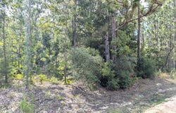 7676 LOS PADRES Avenue, Keystone Heights, FL 32656