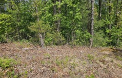 Sutherland Drive, Helenwood, TN 37755