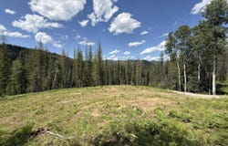 928 Polaris Peak Rd Lot 1, Kellogg, ID 83837