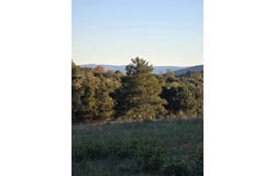 BERRY FARM RD lot: 3, STAUNTON, VA 24401