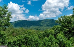 1023 Knollwood RD, Mineral Bluff, GA 30559