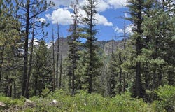 67 Big Pine Trail, Durango, CO 81301