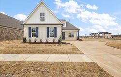 726 Coahoma Court, Nesbit, MS 38651