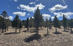 13092 SE Ethan Loop, Prineville, OR 97754