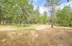 Livingston Way, Grants Pass, OR 97526