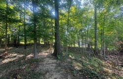 Lot 8 Highland Avenue, Bloomington, IN 47401