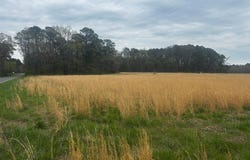 0 QUAIL, SALISBURY, MD 21804