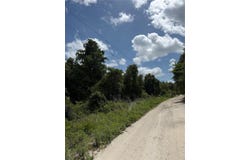 PALMETTO CIRCLE, PAISLEY, FL 32767