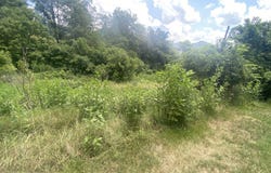 13345 Wolf Creek Rd, Alderson, WV 24910