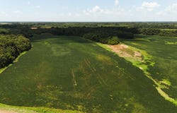 Cotton Loop, MS 38670