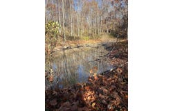 4775 Township Road 226, Shawnee, OH 43782