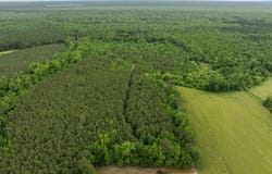 Tbd Nc-50, Wallace, NC 28466