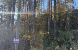 COUNTY RD 185, Haleyville, AL 35565