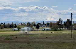 E Collins St, Goldendale, WA 98620