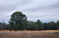 TBD Case Rd, Charleston, AR 72933