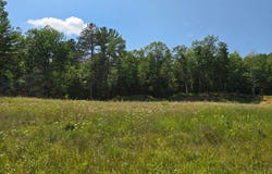 Off HWY 51, Arbor Vitae, WI 54521