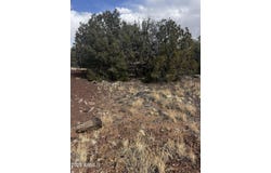 8330 Skyline Drive, Show Low, AZ 85901