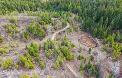 36XX LANE MOUNTAIN WAY, VALLEY, WA 99181