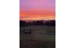 517 Possum Trot Road, Grandview, TN 37337