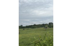 .0 County Road 249, Bloomfield, MO 63825