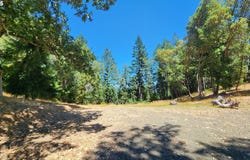 675 PANORAMA LN, Roseburg, OR 97471