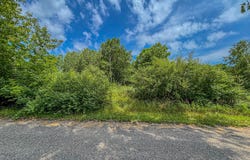 11580 Tanglewood Trail S. #24, Canadian Lakes, MI 49346