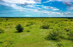 Tbd FM 175, Jacksboro, TX 76458
